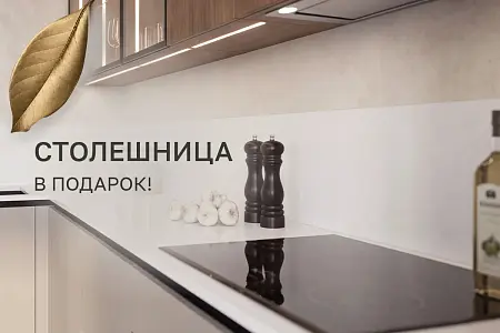 Столешница в подарок!